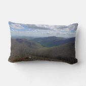 アパラチア山脈イン春 ランバークッション (裏面)