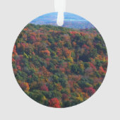 アパラチア山脈イン秋 オーナメント (裏面)