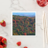 アパラチア山脈イン秋 スタンダードカクテルナプキン (インサイチュ)