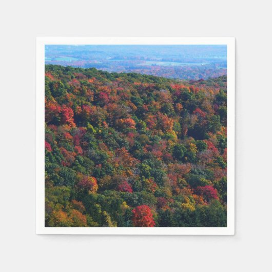 アパラチア山脈イン秋 スタンダードカクテルナプキン (正面)