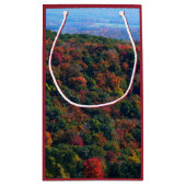 アパラチア山脈イン秋 スモールペーパーバッグ (裏面)