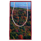 アパラチア山脈イン秋 スモールペーパーバッグ (正面)