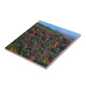 アパラチア山脈イン秋 タイル (側面)