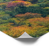 アパラチア山脈イン秋 ポスター (角)