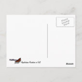 アパラチア山脈イン秋 ポストカード (裏面)