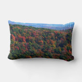 アパラチア山脈イン秋 ランバークッション (裏面)