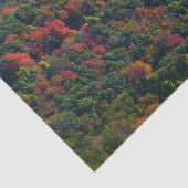 アパラチア山脈イン秋 薄葉紙 (詳細)