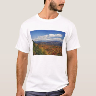 アパラチア山脈南部の秋の景色 Tシャツ