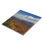 アパラチア山脈南部の秋景 タイル (側面)