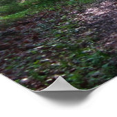 アパラチア山脈 ポスター (角)