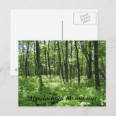 アパラチア山脈 ポストカード (正面/裏面)