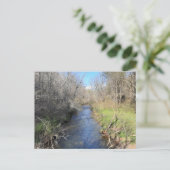 アパラチア山脈 ポストカード (スタンド正面)