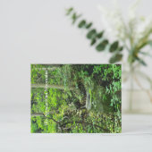 アパラチア山脈 ポストカード (スタンド正面)