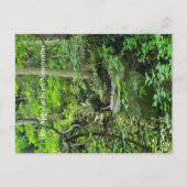 アパラチア山脈 ポストカード (正面)