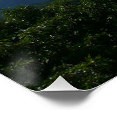 アパラチア山脈IIシェナンドア ポスター (コーナー)