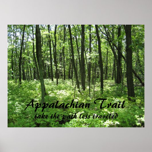 アパラチア歩道ポスター ポスター (正面)