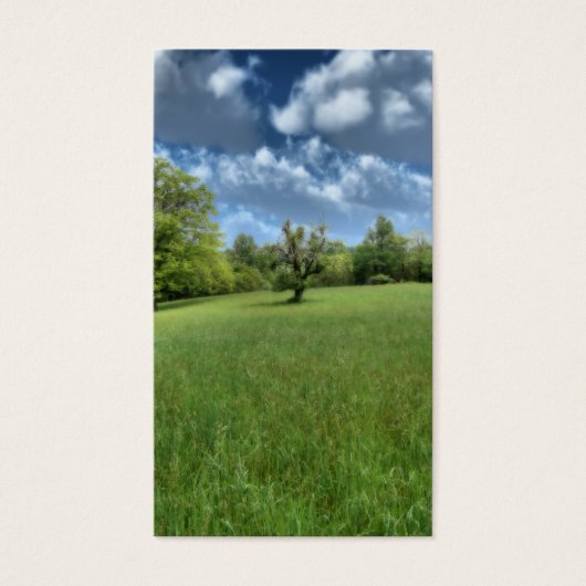 アパラチア緑のブックマーク (正面)