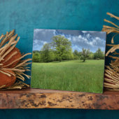 アパラチア緑の写真プラーク フォトプラーク (側面)