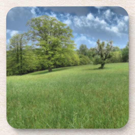 アパラチア緑コルクコースター コースター (正面)