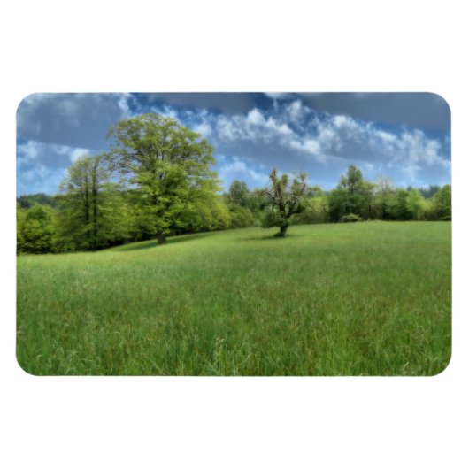 アパラチア緑フレキシブル磁石 マグネット (横)