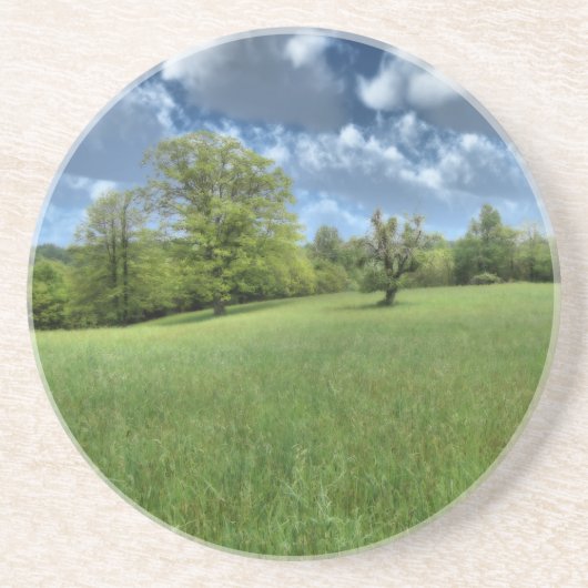 アパラチア・グリーンコースター コースター (正面)