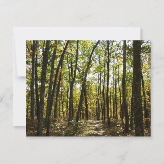 アパラチア・トレイル10月シェナンドアで (正面)