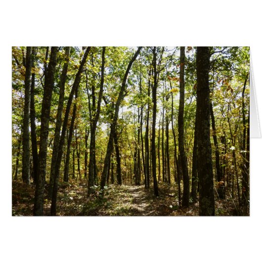 アパラチア・トレイル10月シェナンドアで (正面横)