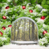 アパラチア・トレイル10月シェナンドアで (クリスマス)