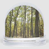 アパラチア・トレイル10月シェナンドアで (裏面)