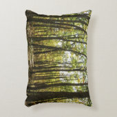 アパラチア・トレイル10月シェナンドアで アクセントクッション (正面(垂直))