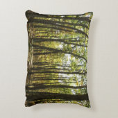 アパラチア・トレイル10月シェナンドアで アクセントクッション (裏面(縦))