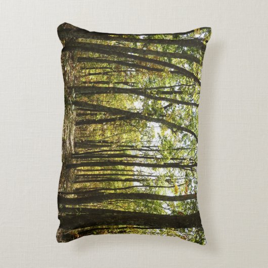 アパラチア・トレイル10月シェナンドアで アクセントクッション (裏面(縦))