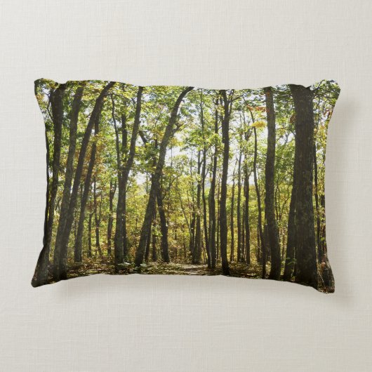 アパラチア・トレイル10月シェナンドアで アクセントクッション (裏面)