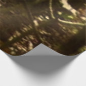 アパラチア・トレイル10月シェナンドアで ウッドポスター (コーナー)