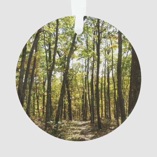 アパラチア・トレイル10月シェナンドアで オーナメント (裏面)