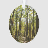 アパラチア・トレイル10月シェナンドアで オーナメント (正面)