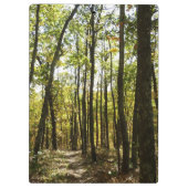 アパラチア・トレイル10月シェナンドアで クリップボード (裏面)