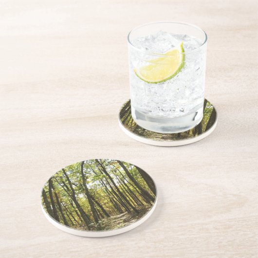 アパラチア・トレイル10月シェナンドアで コースター (側面)