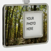 アパラチア・トレイル10月シェナンドアで シルバープレートフレームオーナメント (右)