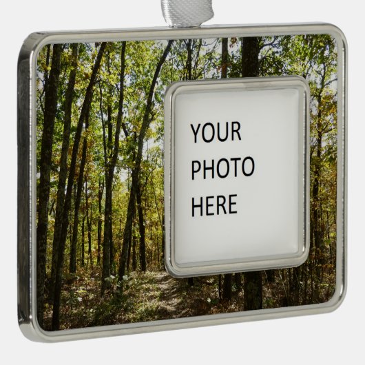 アパラチア・トレイル10月シェナンドアで シルバープレートフレームオーナメント (右)