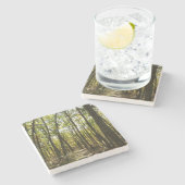 アパラチア・トレイル10月シェナンドアで ストーンコースター (横)