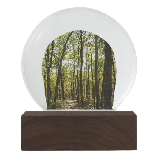 アパラチア・トレイル10月シェナンドアで スノーグローブ (正面)