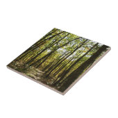 アパラチア・トレイル10月シェナンドアで タイル (側面)