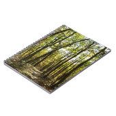 アパラチア・トレイル10月シェナンドアで ノートブック (左側)