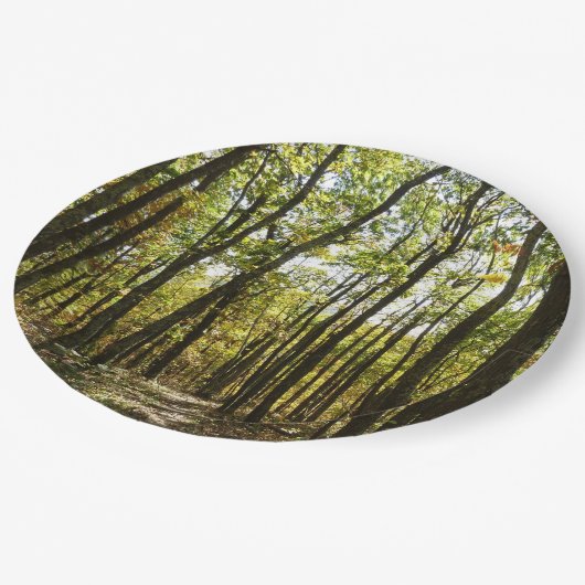 アパラチア・トレイル10月シェナンドアで ペーパープレート (アングル)