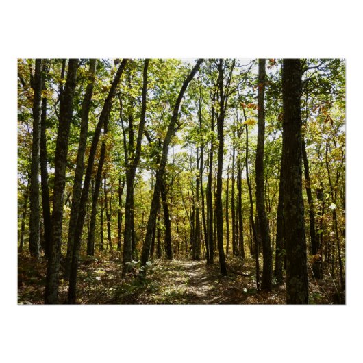 アパラチア・トレイル10月シェナンドアで ポスター (正面)