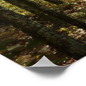 アパラチア・トレイル10月シェナンドアで ポスター (角)