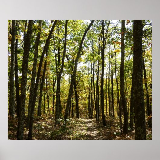 アパラチア・トレイル10月シェナンドアで ポスター (正面)