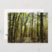 アパラチア・トレイル10月シェナンドアで ポストカード (正面/裏面)