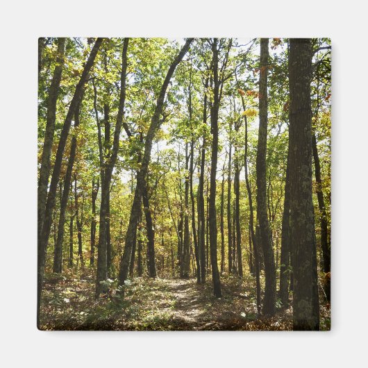 アパラチア・トレイル10月シェナンドアで マグネット (正面)